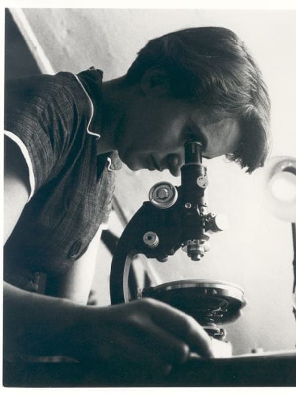 Image of File:Rosalind Franklin.jpg